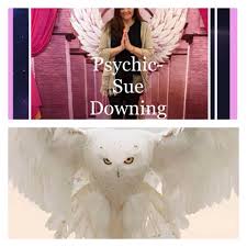 Rustic Owl and Angel Centre