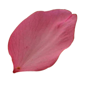 Phil-Asian Food Mart